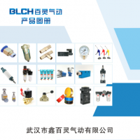 武漢百靈氣動(dòng)歡迎您！